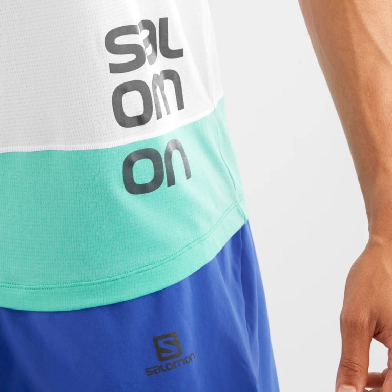 White / Turquoise Salomon Cross Run Graphic Men's Tanks | IE DZ6518